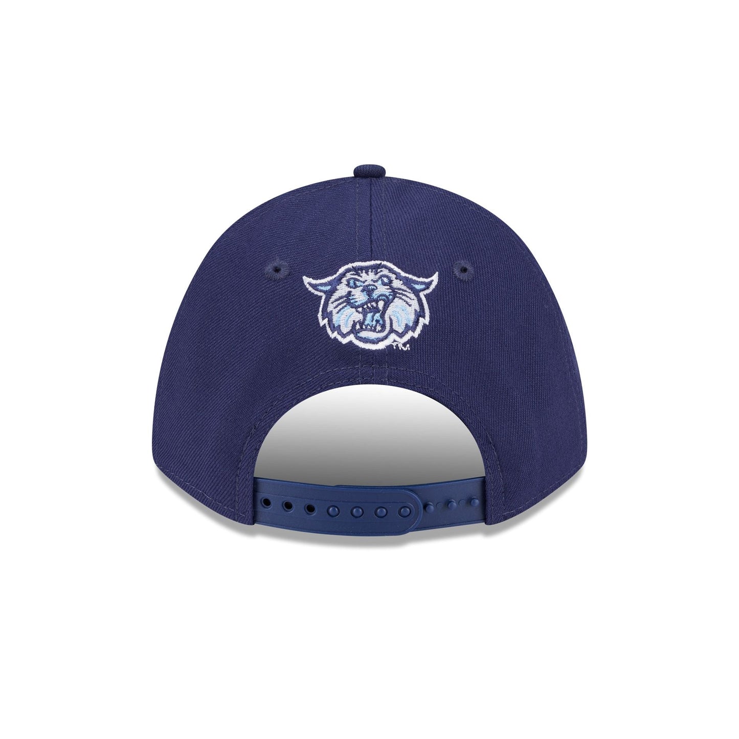 Villanova Wildcats Team 9FORTY M-Crown Snapback Hat