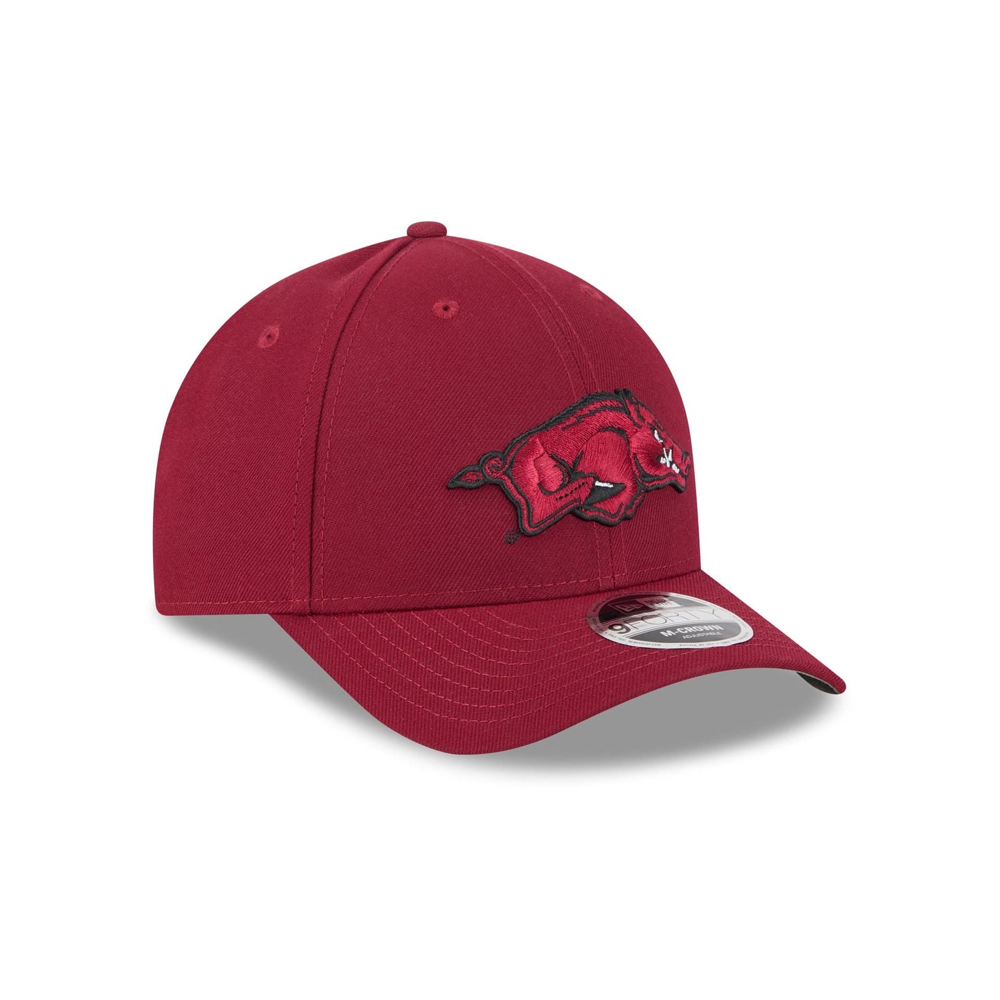 Arkansas Razorbacks Team 9FORTY M-Crown Snapback Hat